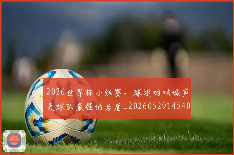 2026世界杯小组赛，球迷的呐喊声是球队最强的后盾_20260529145402
