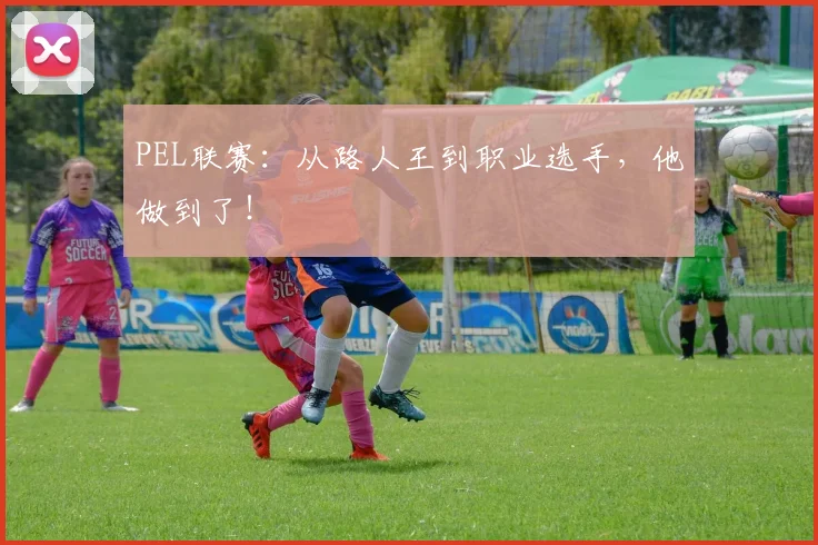 PEL联赛：从路人王到职业选手，他做到了！