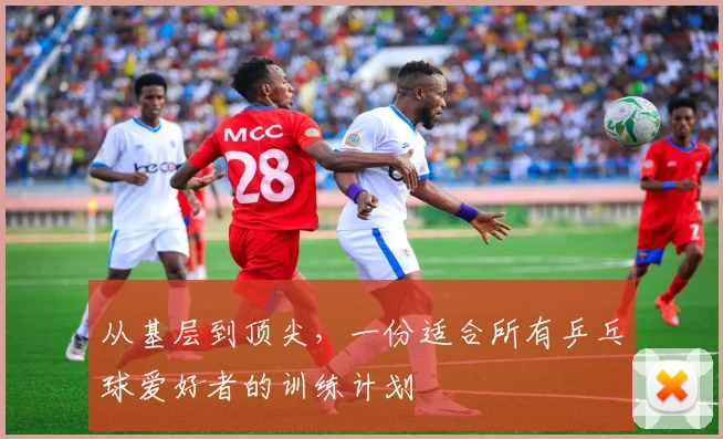 从基层到顶尖，一份适合所有乒乓球爱好者的训练计划